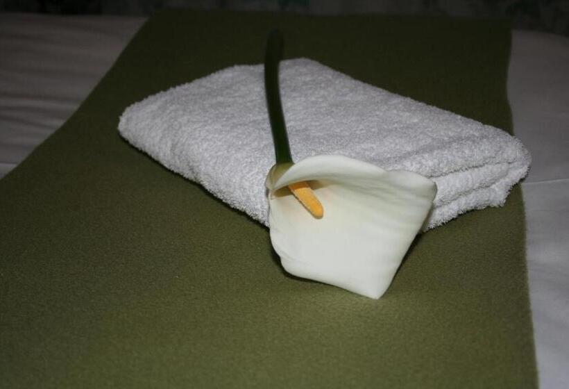 חדר סטנדרט יחיד, Karoopark Guest House