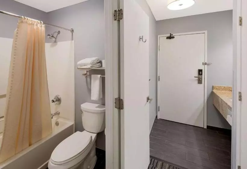 キングサイズベッドのデラックスルーム, Best Western Riverside Inn