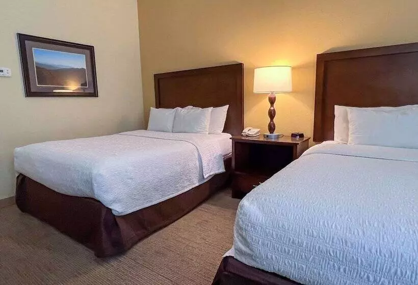 스탠다드 룸 더블 침대 2개, Cherokee Inn
