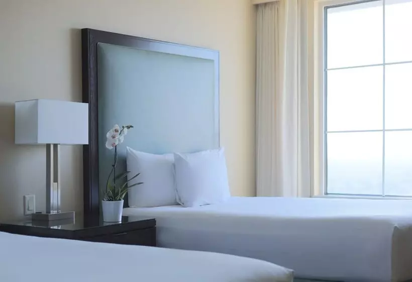 ２ダブルベッドのスタンダードルーム, Grand Hyatt Atlanta In Buckhead