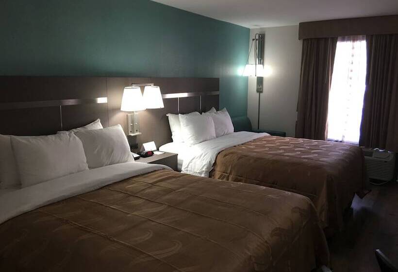 Номер Стандарт 2 Двуспальные Кровати, Quality Inn Greenville Near University