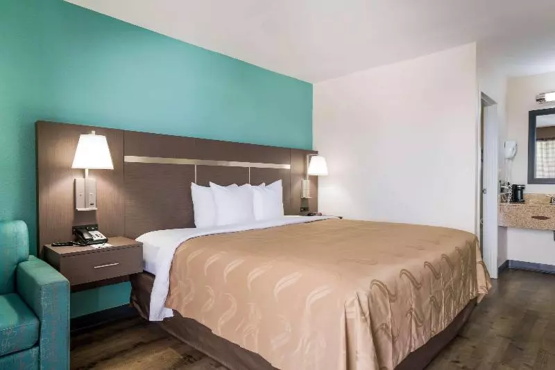اتاق استاندارد با تخت بزرگ, Quality Inn Greenville Near University