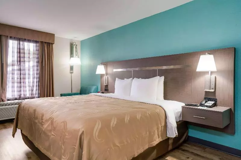 اتاق استاندارد با تخت بزرگ, Quality Inn Greenville Near University