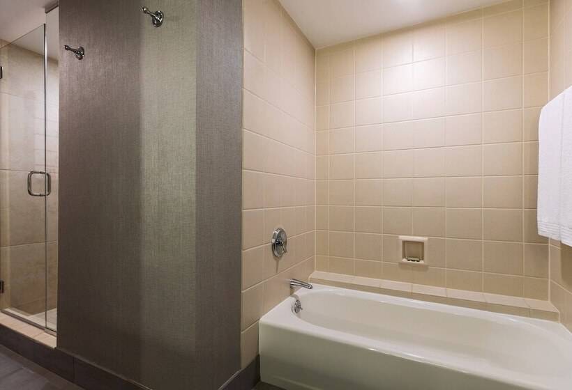 سوییت اجرایی, Renaissance Chicago Downtown