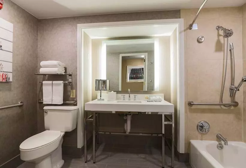 اتاق استاندارد با 2 تخت دوبل, Renaissance Chicago Downtown