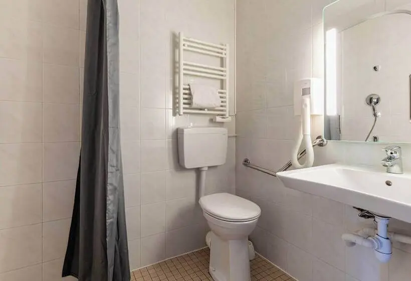 اتاق استاندارد برای معلولان, B&b Hotel Colmar Lumière