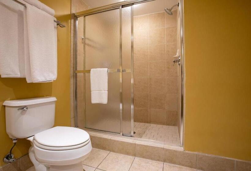 غرفة قياسية, Casa Monica Resort & Spa, Autograph Collection