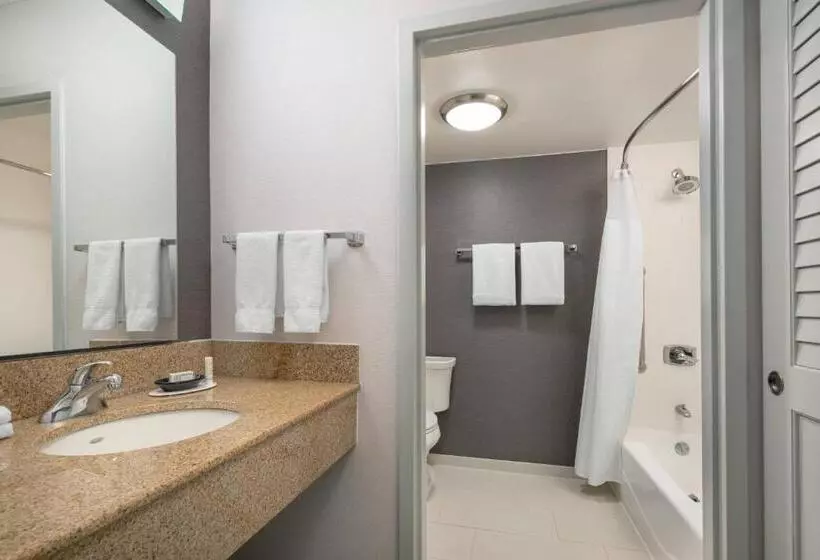 اتاق استاندارد با تخت بزرگ, Courtyard By Marriott Pleasanton
