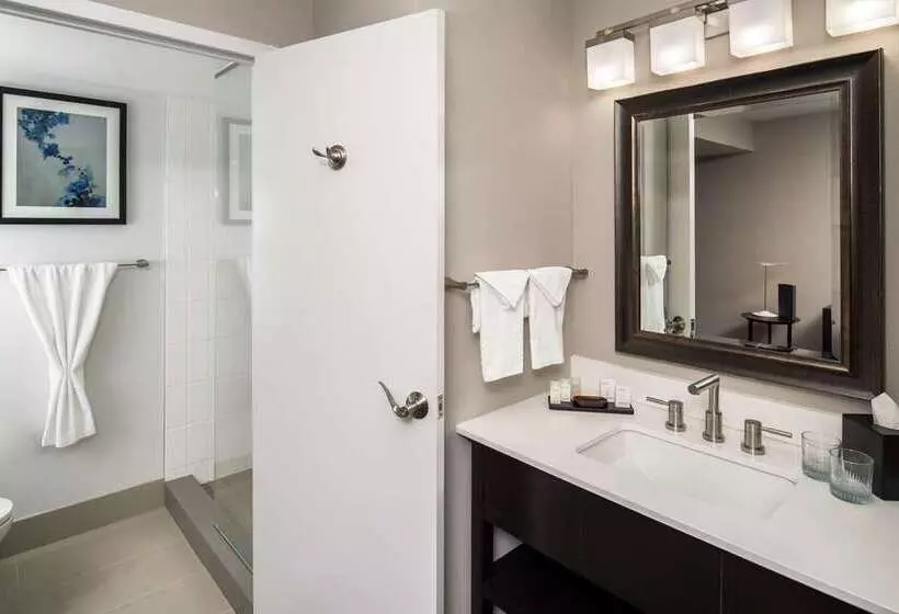 Deluxe Suite King Bed, Embassy Suites By Hilton Temecula Valley Wine Country