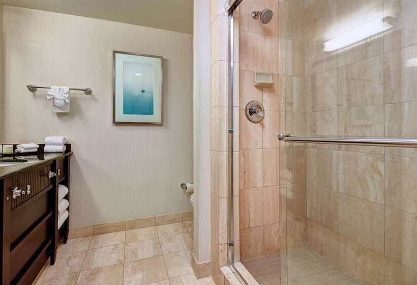 キングサイズベッドのデラックススイート, Embassy Suites By Hilton Temecula Valley Wine Country