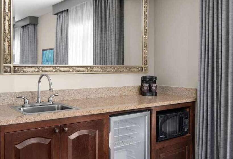 キングサイズベッドのデラックススイート, Embassy Suites By Hilton Temecula Valley Wine Country