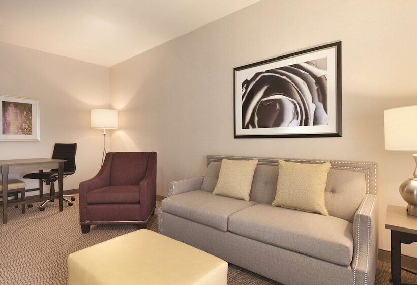 スイート, Embassy Suites By Hilton Temecula Valley Wine Country