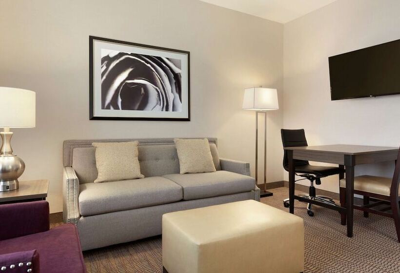 身障者適用スイートルーム, Embassy Suites By Hilton Temecula Valley Wine Country