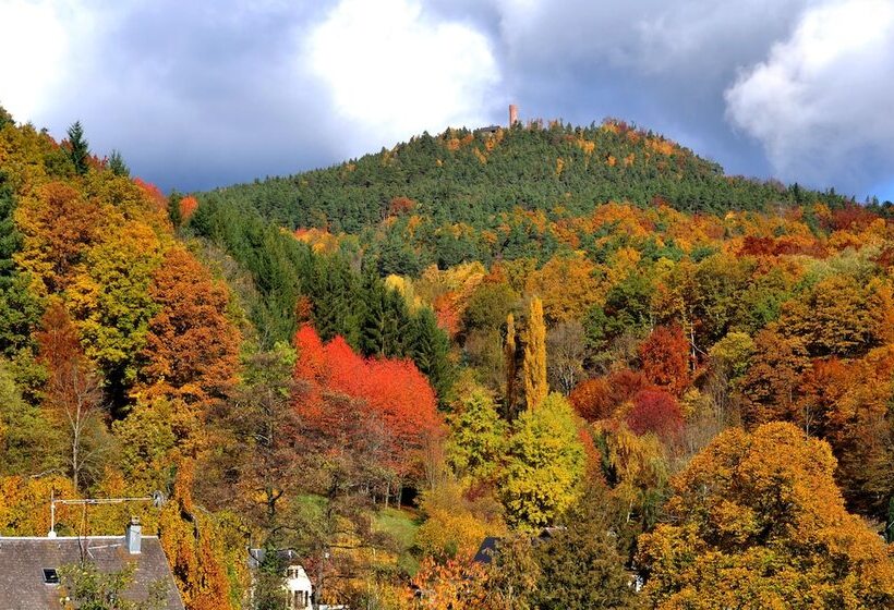 클래식 싱글 룸, Logis Hôtel   Restaurant Aux Bruyères