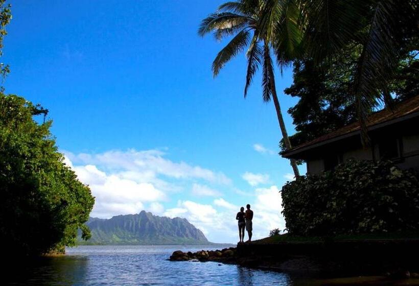 جناح, Paradise Bay Resort