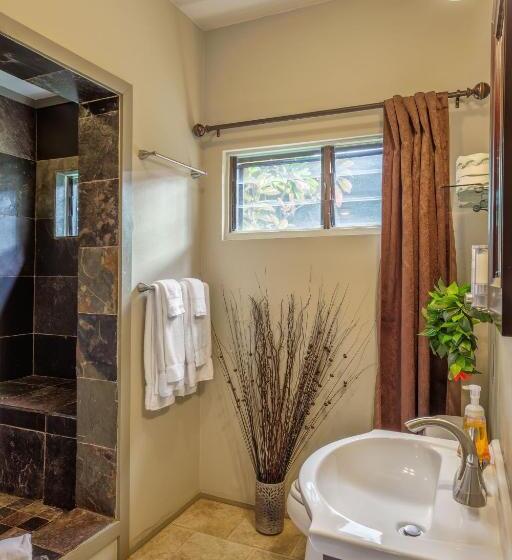 إستوديو قياسى, Paradise Bay Resort