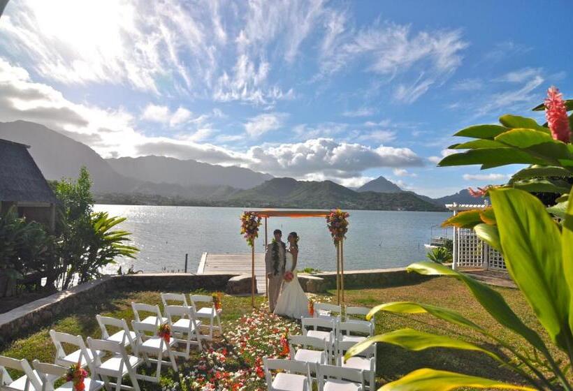 جناح ذو إطلالة, Paradise Bay Resort