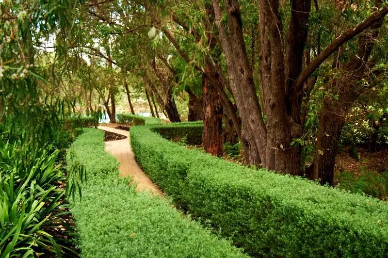 Quarto Estandar Vista Jardim, Cape Lodge