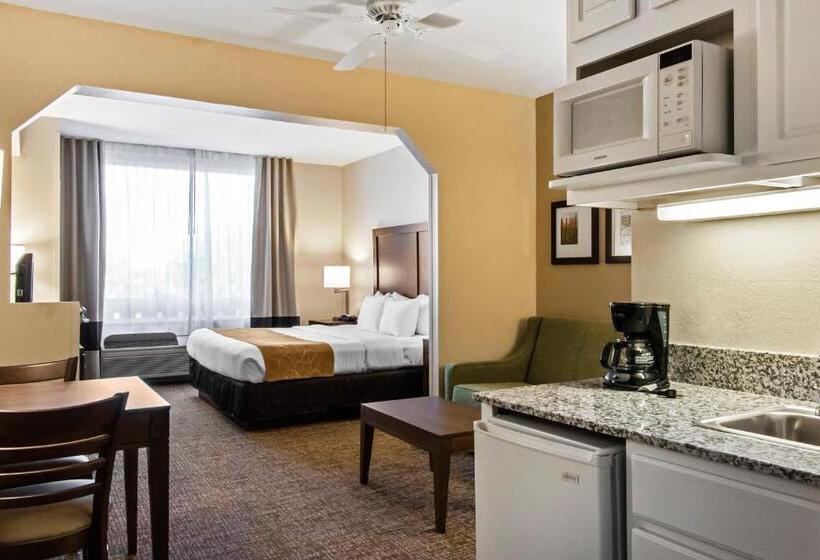 Suíte Cama King, Comfort Suites Maingate East