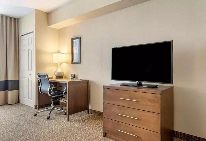 スイート, Comfort Suites Maingate East