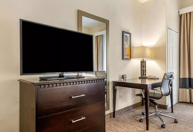 スイート, Comfort Suites Maingate East