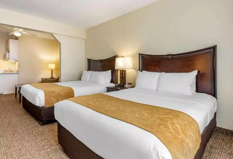 スイート, Comfort Suites Maingate East