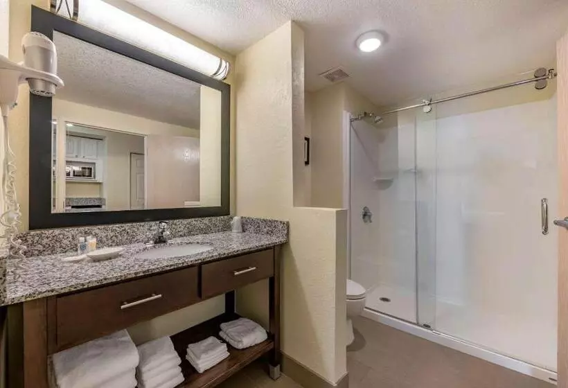 スイート, Comfort Suites Maingate East