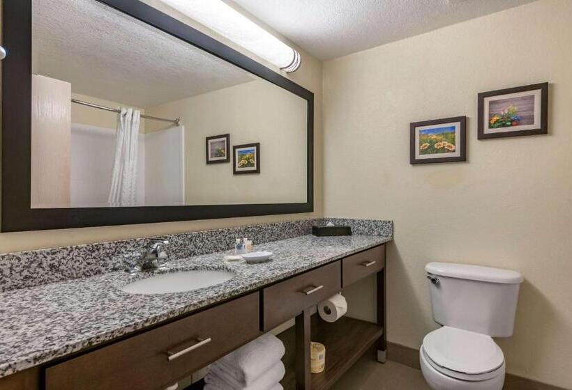 Люкс Адаптированный для Инвалидов, Comfort Suites Maingate East