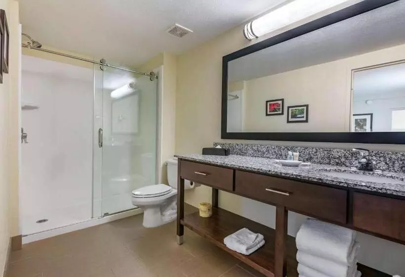 身障者適用スイートルーム, Comfort Suites Maingate East