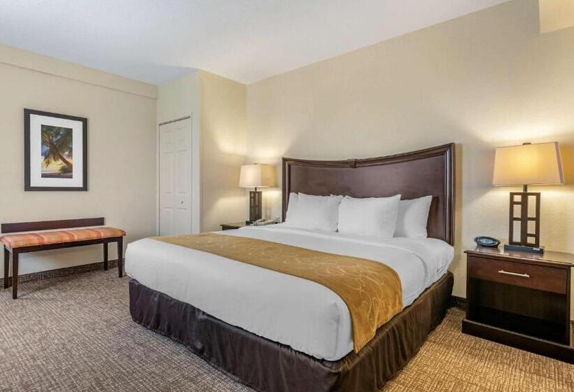 Люкс Адаптированный для Инвалидов, Comfort Suites Maingate East