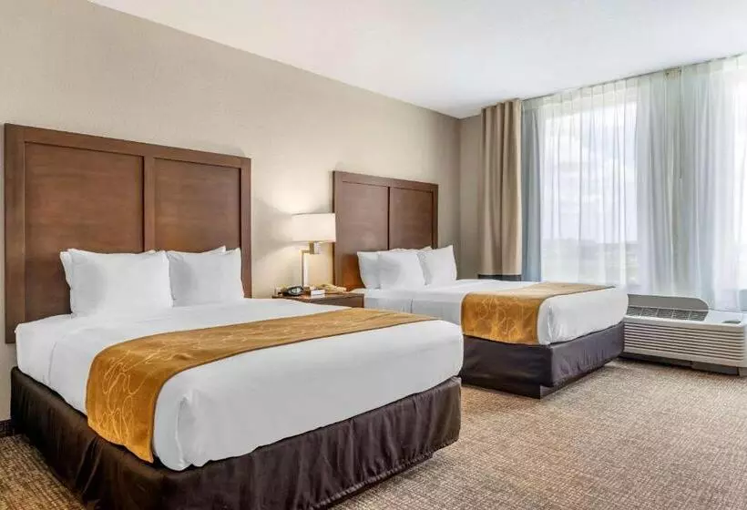 身障者適用スイートルーム, Comfort Suites Maingate East