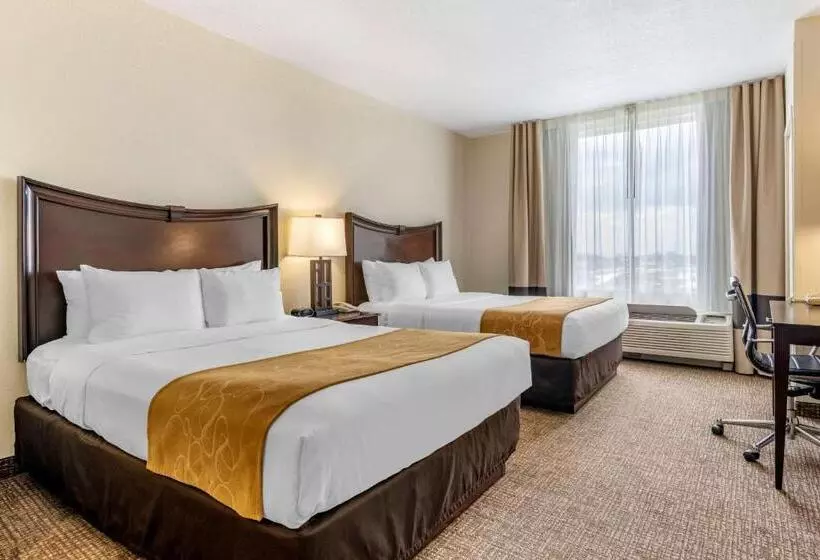 身障者適用スイートルーム, Comfort Suites Maingate East