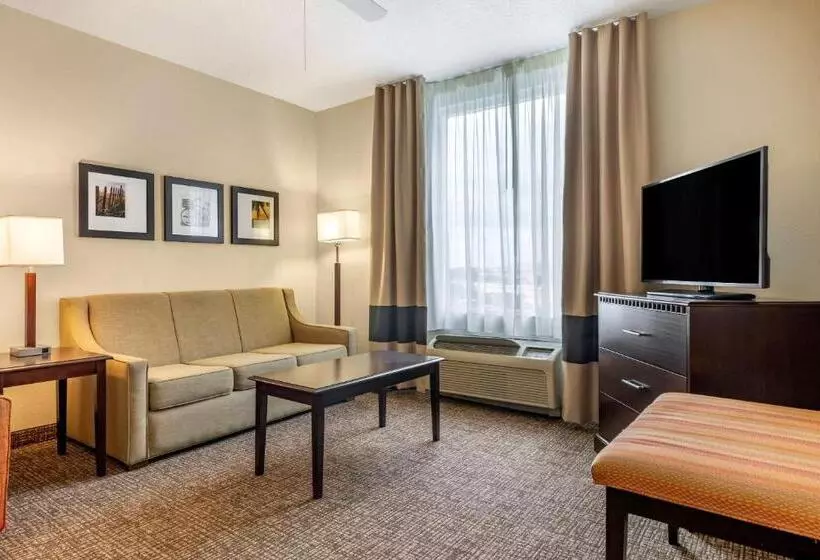 スイート, Comfort Suites Maingate East