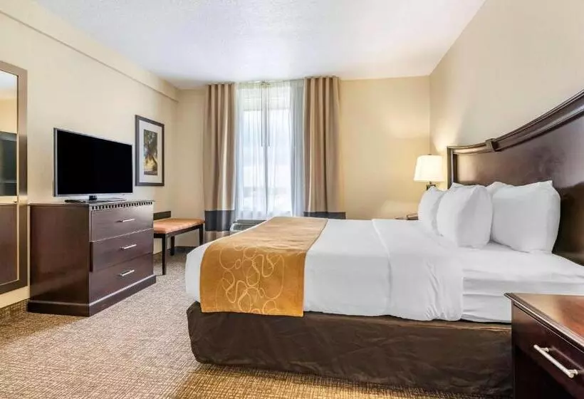 スイート, Comfort Suites Maingate East