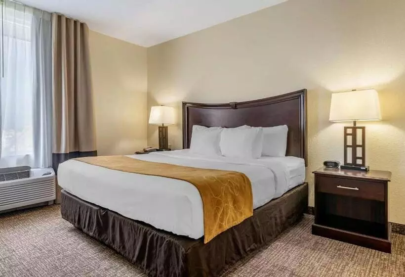 スイート, Comfort Suites Maingate East