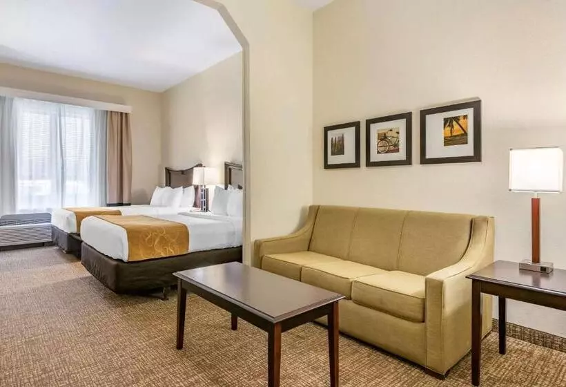 身障者適用スイートルーム, Comfort Suites Maingate East