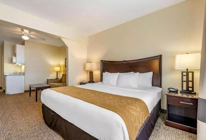 身障者適用スイートルーム, Comfort Suites Maingate East
