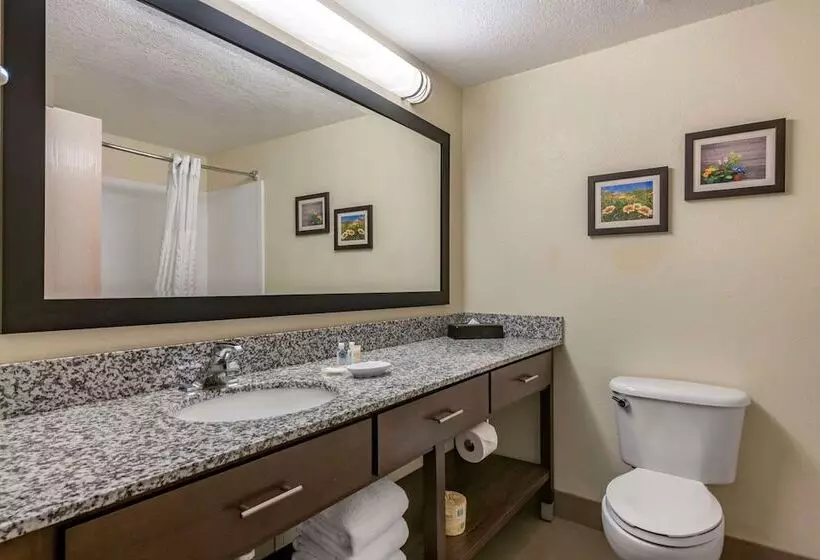 スイート, Comfort Suites Maingate East