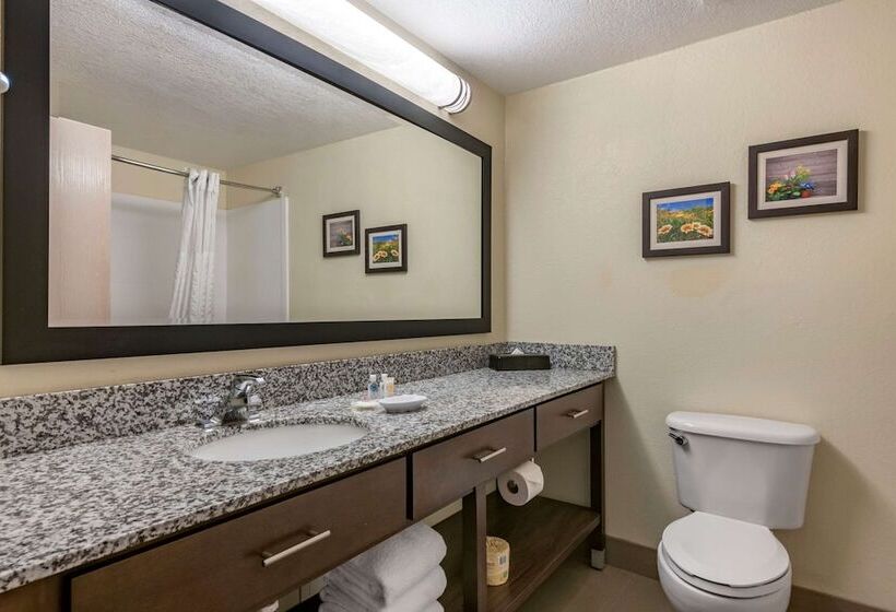 Suíte para Deficientes Físicos, Comfort Suites Maingate East