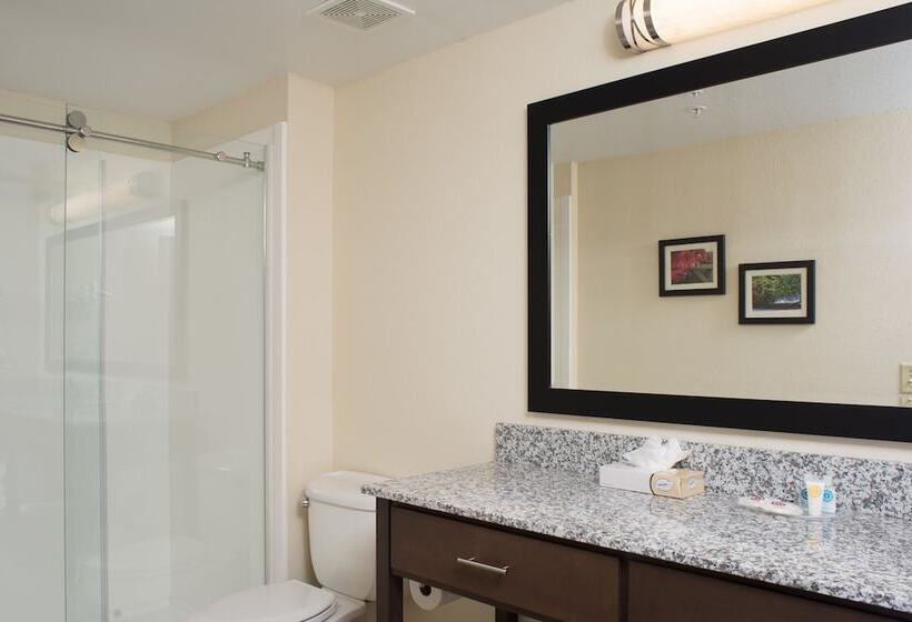 سوئیت برای معلولان, Comfort Suites Maingate East