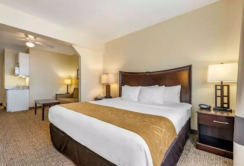身障者適用スイートルーム, Comfort Suites Maingate East