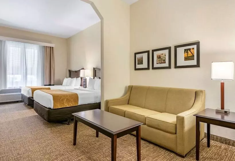 身障者適用スイートルーム, Comfort Suites Maingate East