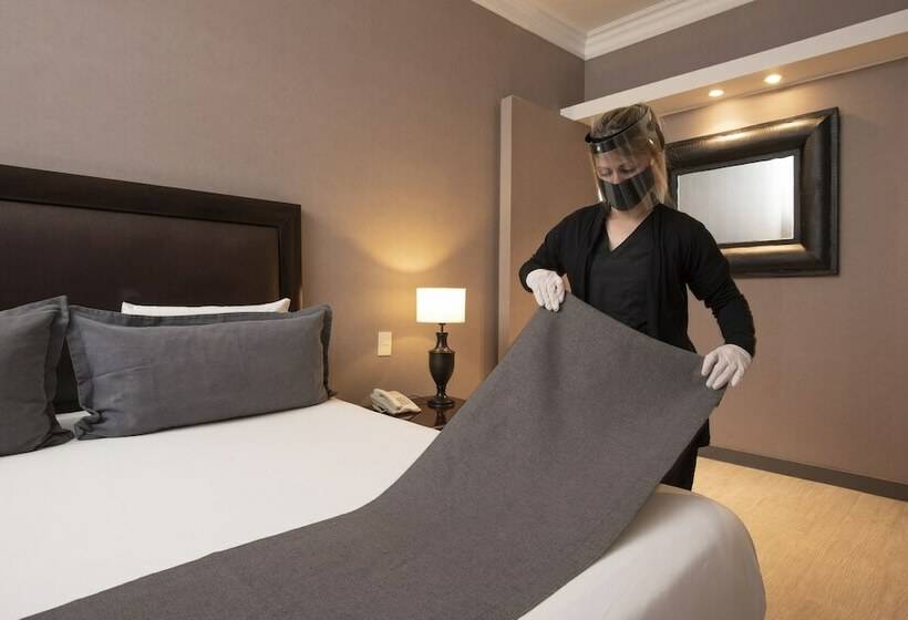 اتاق لوکس, 1253 Recoleta Small