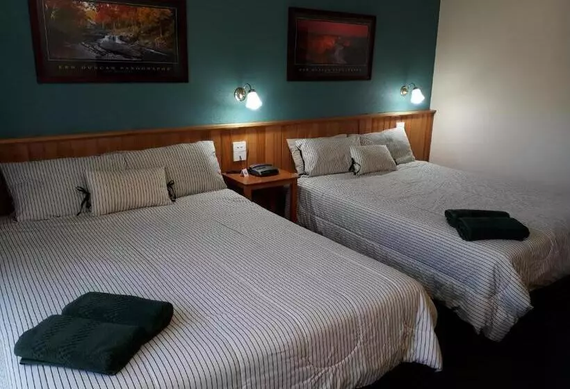 Deluxe-huone, Moe Motor Inn   Contactless 24 Hour Checkinn Available