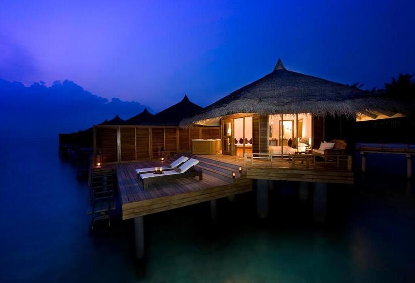 1 Yatak Odalı Villa, Kuramathi Maldives