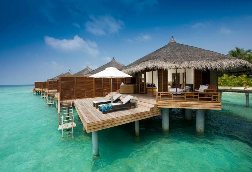 1 Yatak Odalı Villa, Kuramathi Maldives