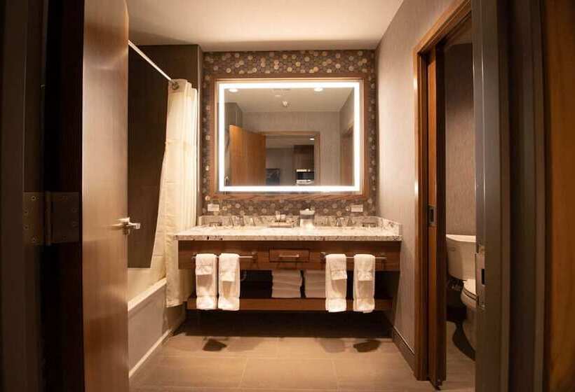 آپارتمان 1 خوابه, Hilton Vacation Club Tahoe Seasons Lake Tahoe