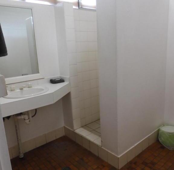 Студия Стандарт, Dalby Parkview Motel