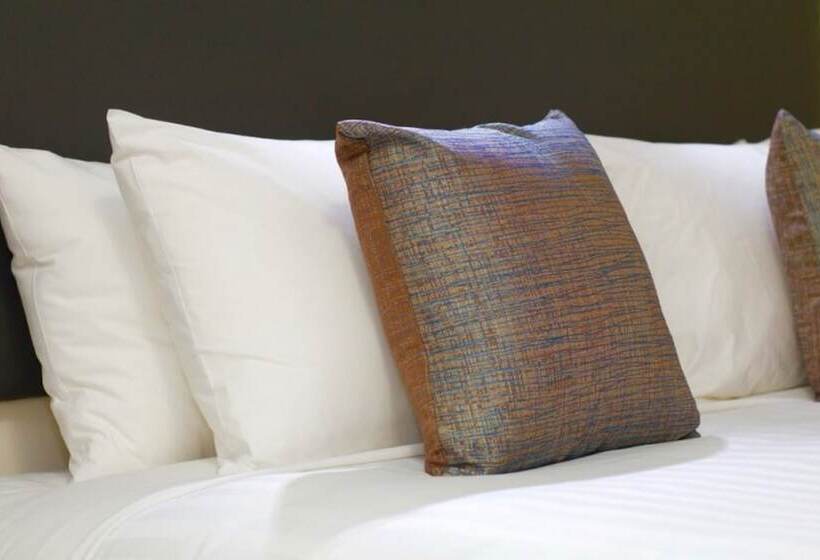 可看到停车场的标准间, Clipper