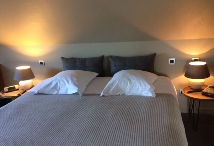 Номер Стандарт, Ter Duinen